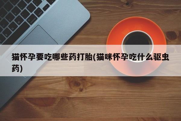 打胎药购买猫怀孕要吃哪些药打胎(猫咪怀孕吃什么驱虫药)