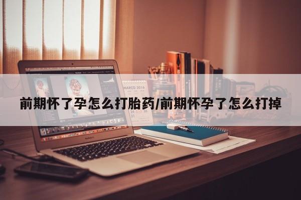 打胎药购买前期怀了孕怎么打胎药/前期怀孕了怎么打掉
