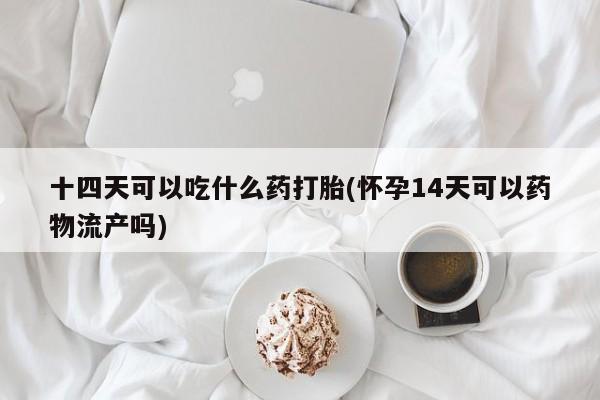 打胎药购买十四天可以吃什么药打胎(怀孕14天可以药物流产吗)